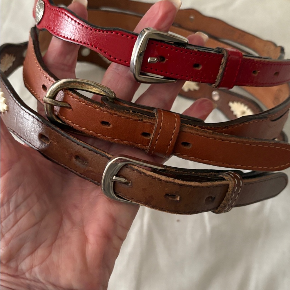 Stylish Women's Belt Set - Red, Brown, Tan